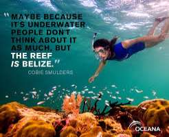 She loves the underwater world and also dreamed of being a mermaid. She wanted to become a marine biologist and is a certified PADI diver.